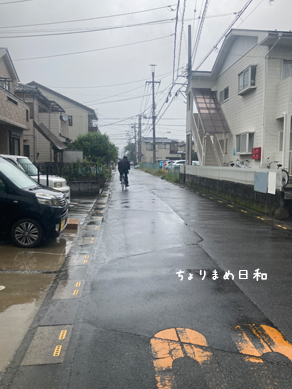 いくじ240903