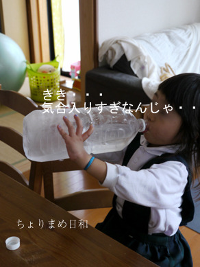 ちょりまめ日和