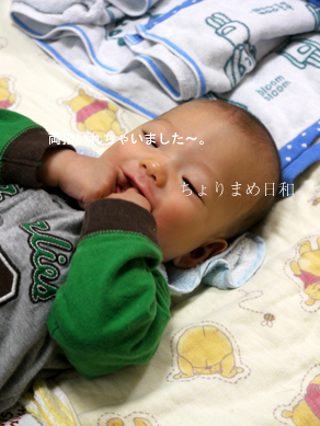 ちょりまめ日和