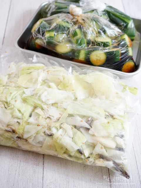 作り置き250916_キャベツきゅうり