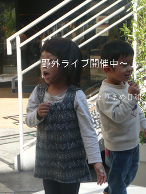 ちょりまめ日和