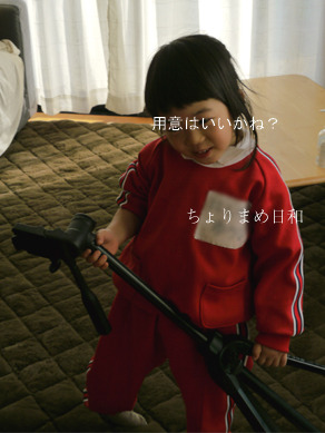 ちょりまめ日和