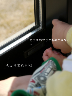 ちょりまめ日和
