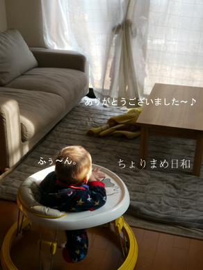 ちょりまめ日和