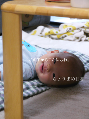 ちょりまめ日和