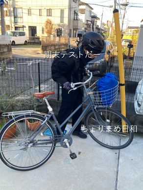 いくじ241128