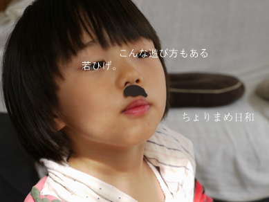 ちょりまめ日和
