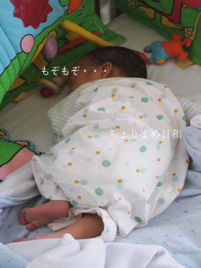 ちょりまめ日和