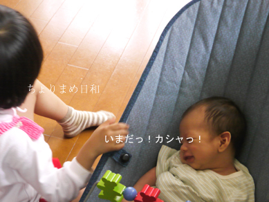 ちょりまめ日和
