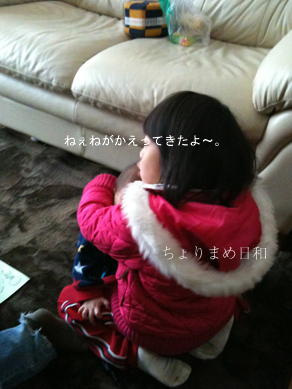 ちょりまめ日和