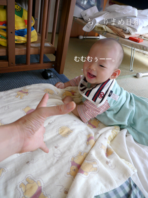 ちょりまめ日和