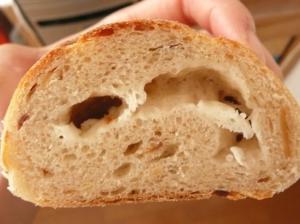 カッテージチーズの洞窟だぁ~