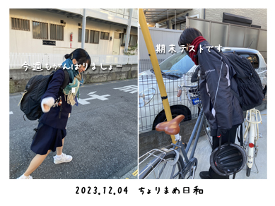 いくじ231204