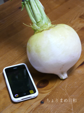 ちょりまめ日和