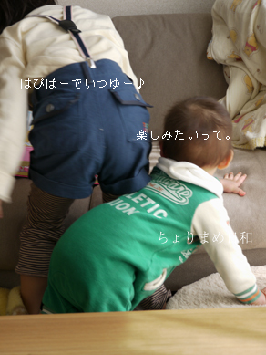 ちょりまめ日和