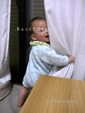 ちょりまめ日和