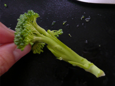 ちょりまめ日和