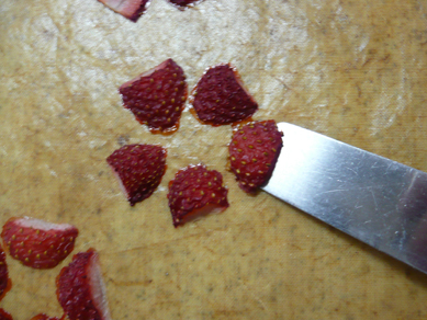 ちょりまめ日和