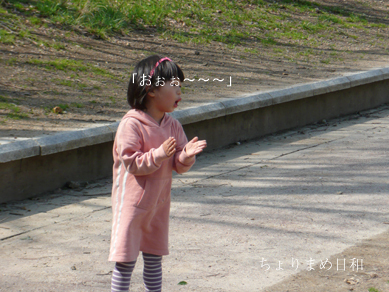 ちょりまめ日和