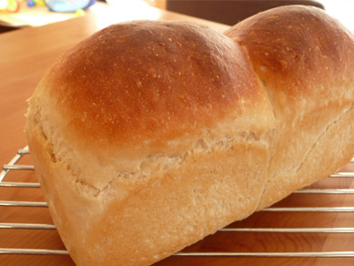 キャセロールパン試作