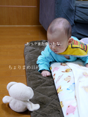ちょりまめ日和