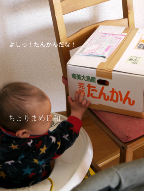 ちょりまめ日和