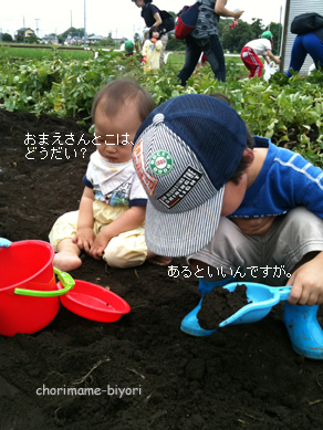 ちょりまめ日和