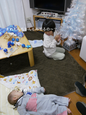 ちょりまめ日和