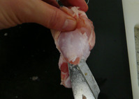 手羽元チューリップ形