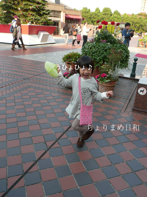 ちょりまめ日和
