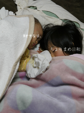 ちょりまめ日和