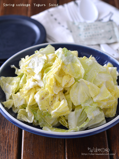 春キャベツのフレンチドレッシングサラダ_BOM2004-4