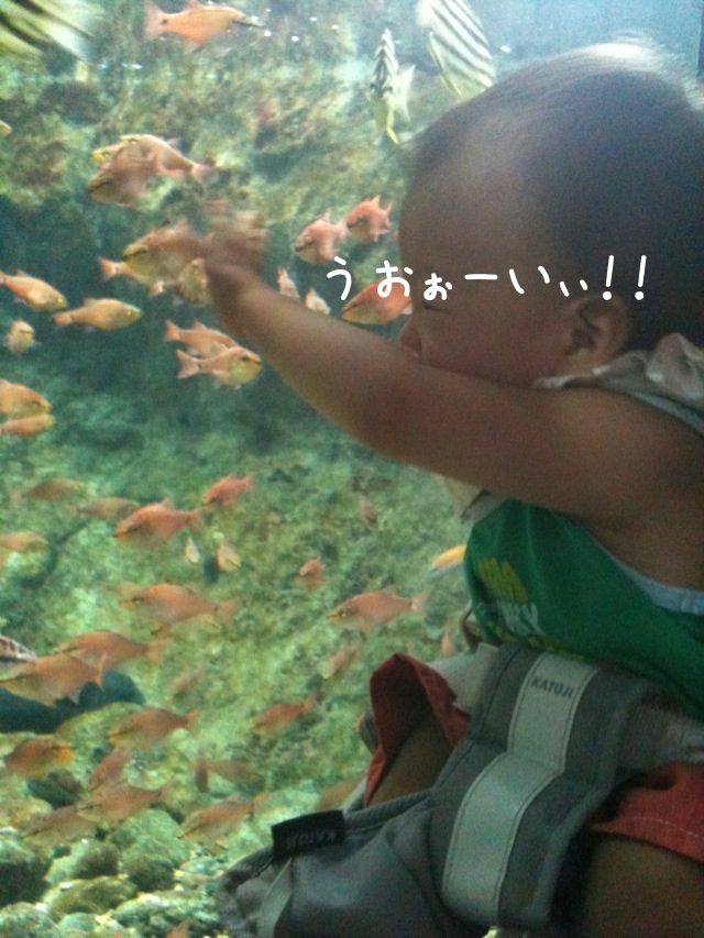 ちょりママオフィシャルブログ「ちょりまめ日和」Powered by Ameba