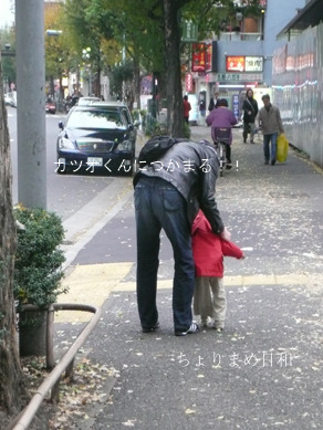 ちょりまめ日和