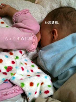 ちょりまめ日和