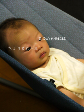 ちょりまめ日和