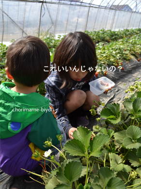 ちょりママオフィシャルブログ「ちょりまめ日和」Powered by Ameba