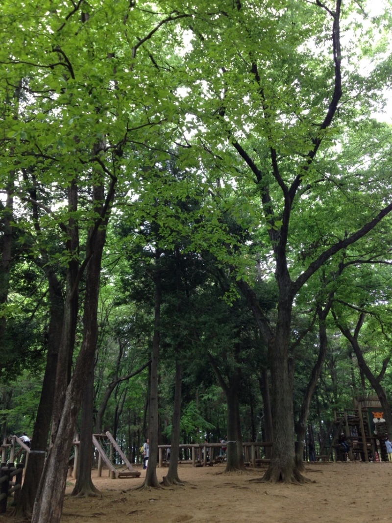 Simplogで写真を見る 投稿写真