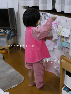 ちょりまめ日和