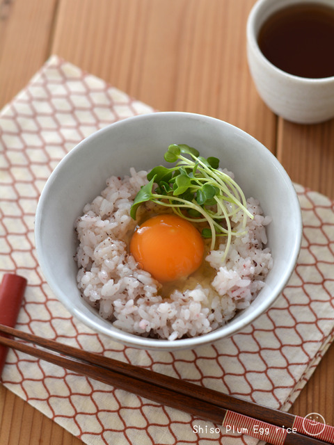 卵かけしそ梅ごはん_スパイス1904-2