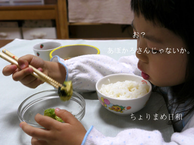 ちょりまめ日和