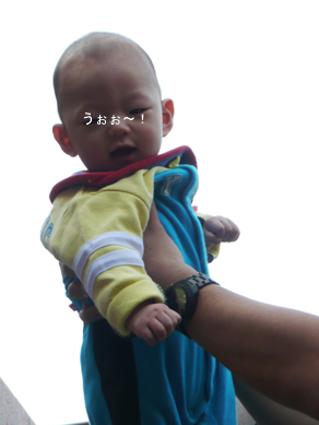ちょりまめ日和