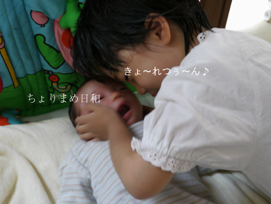 ちょりまめ日和
