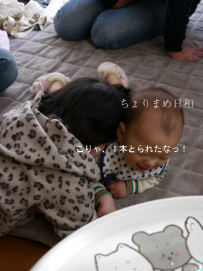 ちょりまめ日和