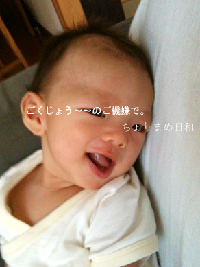 ちょりまめ日和