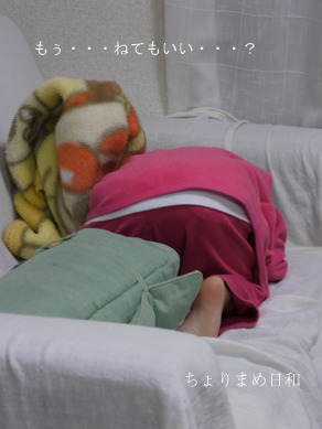 ちょりまめ日和