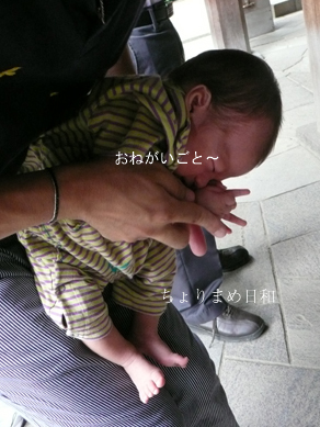 ちょりまめ日和