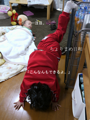 ちょりまめ日和