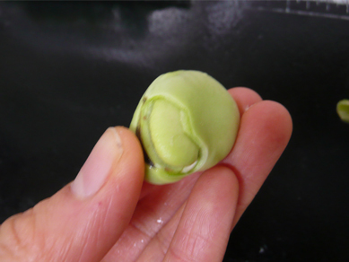 ちょりまめ日和