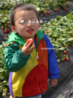 ちょりママオフィシャルブログ「ちょりまめ日和」Powered by Ameba